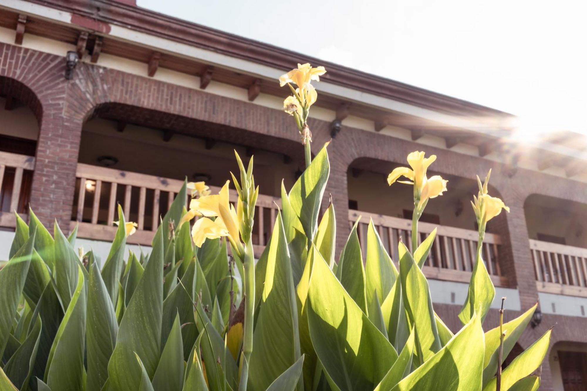 Hotel La Casona Jilotepec de Abasolo المظهر الخارجي الصورة